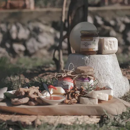 Фермерский дом Il Tintore *