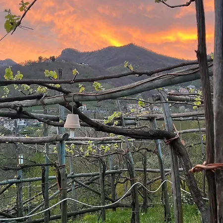 Il Tintore Фермерский дом *