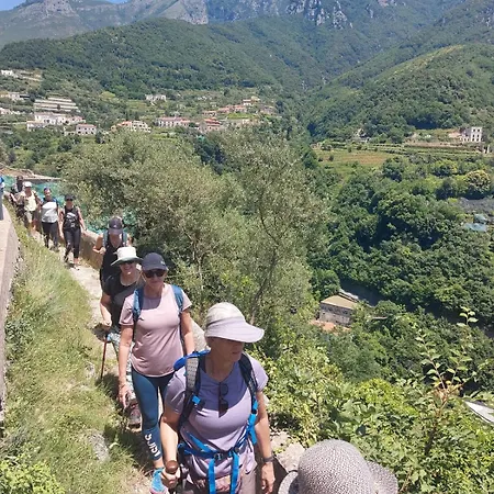 Фермерский дом Il Tintore