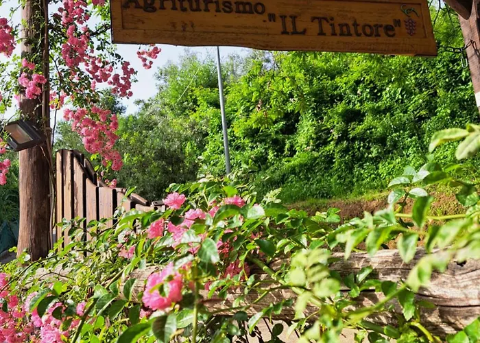 Feriegård Il Tintore *
