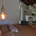 Il Tintore