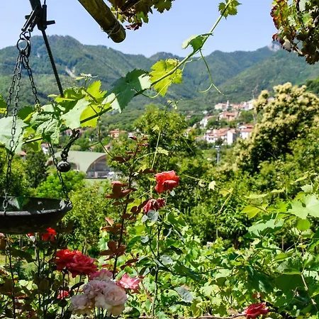 Alojamento de Turismo Rural Il Tintore Tramonti