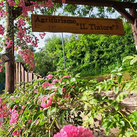 Farm stay Agriturismo Il Tintore *